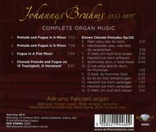Johannes Brahms (1833-1897): Sämtliche Orgelwerke, CD