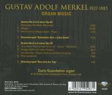 Gustav Merkel (1827-1885): Orgelwerke, CD