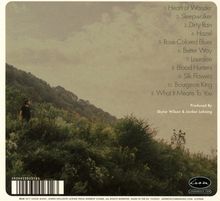 Andrew Combs: Canyons Of My Mind, CD