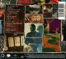 Rich Robinson (Black Crowes): Flux, CD