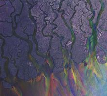 alt-J: An Awesome Wave, CD