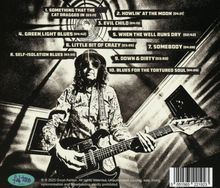 Trackliste: 1. Something 2. Howlin’ 3. Evil Child. Illustration eines Gitarristen mit Sonnenbrille und Gitarre.