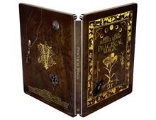 Text: "Practical Magic", "Sandra Bullock", "Nicole Kidman". Darstellung eines Buchcovers mit goldenen Verzierungen.