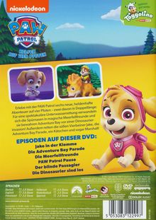 Paw Patrol Vol. 5: Tapfere Helden, große Taten, DVD