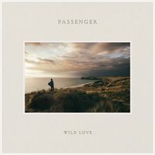 Text: "PASSENGER", "WILD LOVE". Eine Person steht auf einem Hügel mit Blick aufs Meer unter einem dramatisch bewölkten Himmel.