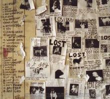 Pearl Jam: Lost Dogs, 2 CDs