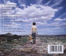 Mudvayne: Lost And Found, CD