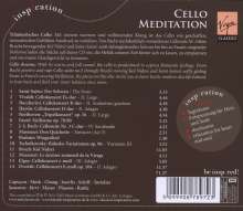Cello Meditation, CD