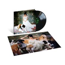 Norah Jones (geb. 1979): The Fall (180g), LP