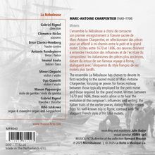 Rückansicht vergrößern