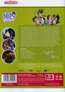 Nils Holgersson (CGI) DVD 2: Das Wettfliegen, DVD