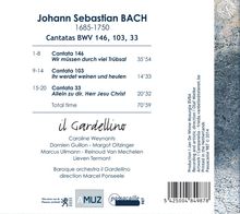 Johann Sebastian Bach (1685-1750): Kantaten BWV 33, 103, 146, CD
