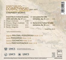 IGNACY FELIKS DOBRZYNSKI: Chamber Works. Grand Trio in A minor, Les Larmes, Nocturne. 58:23 Gesamtzeit. Malerischer Hintergrund.