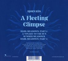 Bjørn Riis: A Fleeting Glimpse, CD