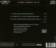 Johann Sebastian Bach (1685-1750): Kantaten Vol.25 (BIS-Edition), CD