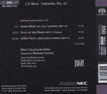 Johann Sebastian Bach (1685-1750): Kantaten Vol.43 (BIS-Edition), Super Audio CD