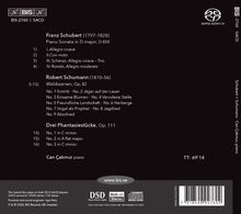 CD-Cover für Musik von Franz Schubert und Robert Schumann. Pianist: Can Çakmur. Enthält Werke wie "Waldszenen".