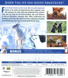 Ailos Reise (Blu-ray), Blu-ray Disc