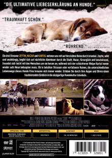 Streuner - Unterwegs mit Hundeaugen, DVD