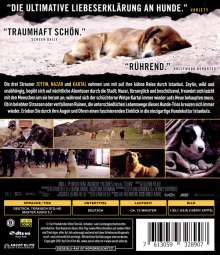 Streuner - Unterwegs mit Hundeaugen (Blu-ray), Blu-ray Disc