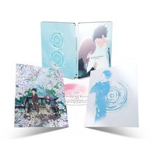 Text: "A Silent Voice The Movie".  
Enthält ein DVD-Set mit zwei Charakteren auf dem Cover und Farbillustrationen.
