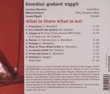 Luciano Biondini, Michel Godard &amp; Lucas Niggli: What Is There What Is N, CD