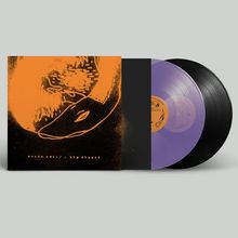 Text: "scotch owl / big dipper". Cover in Orange mit abstrakter Tierillustration. Zwei Schallplatten: eine lila, eine schwarz.