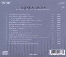 Essential Organ - A Journey Through Italien Organ Music, CD