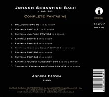 Johann Sebastian Bach (1685-1750): Fantasien BWV 906,917-919,922,944,1121, CD