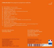 Rückansicht vergrößern