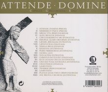 Rückansicht vergrößern