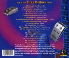 For A Few Fuzz Guitars More, CD