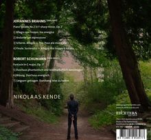 Texte: Werke von Johannes Brahms und Robert Schumann, Pianist Nikolaas Kende. Waldweg, Mann von hinten.