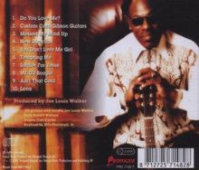 Joe Louis Walker: New Direction, CD