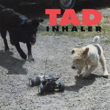 Tad: Inhaler (180g), LP