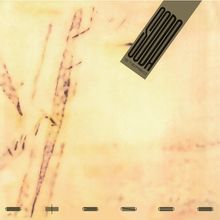 "Onda Sonda Stereo" in einer diagonalen Schrift oben rechts, "Signals" in stilisierter Schrift unten. Hintergrund abstrakt.