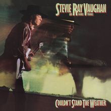 "Stevie Ray Vaughan and Double Trouble", "Couldn’t Stand the Weather". Musiker mit Gitarre vor unscharfer Landschaft.