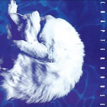 Text: "CHAPTERHOUSE" vertikal. Illustration: Ein schlafende weiße Katze, umgeben von blauem Hintergrund.
