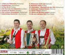 Filzmooser Tanzlmusi: A Musi für di, CD