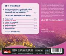 Sanftes Bachrauschen, 2 CDs