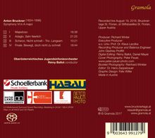 Anton Bruckner (1824-1896): Symphonie Nr.6, Super Audio CD