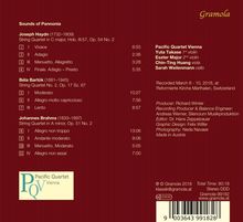 Pacific Quartet Vienna - Klänge aus Pannonien, CD