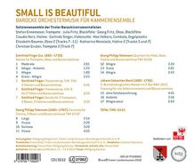 Small is beautiful - Barocke Orchestermusik für Kammerensemble, CD