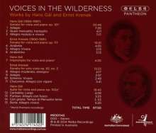 Roger Benedict &amp; Timothy Young - Voices in the Wilderness, CD