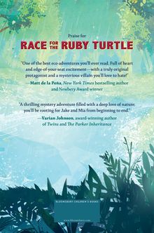 Stephen Bramucci: Race for the Ruby Turtle, Buch