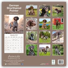 Avonside Publishing Ltd: German Shorthaired Pointer - Deutsch Kurzhaar 2025 - 16-Monatskalender, Kalender