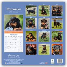 Avonside Publishing Ltd: Rottweiler - Rottweiler 2025 - 16-Monatskalender, Kalender