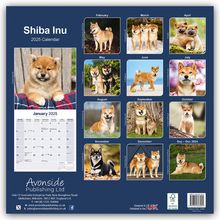 Avonside Publishing Ltd: Shiba Inu 2025 - 16-Monatskalender, Kalender