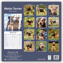 Avonside Publishing Ltd: Welsh Terrier 2025 - 16-Monatskalender, Kalender