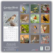 Avonside Publishing Ltd: Garden Birds - Gartenvögel 2025 - 16-Monatskalender, Kalender
